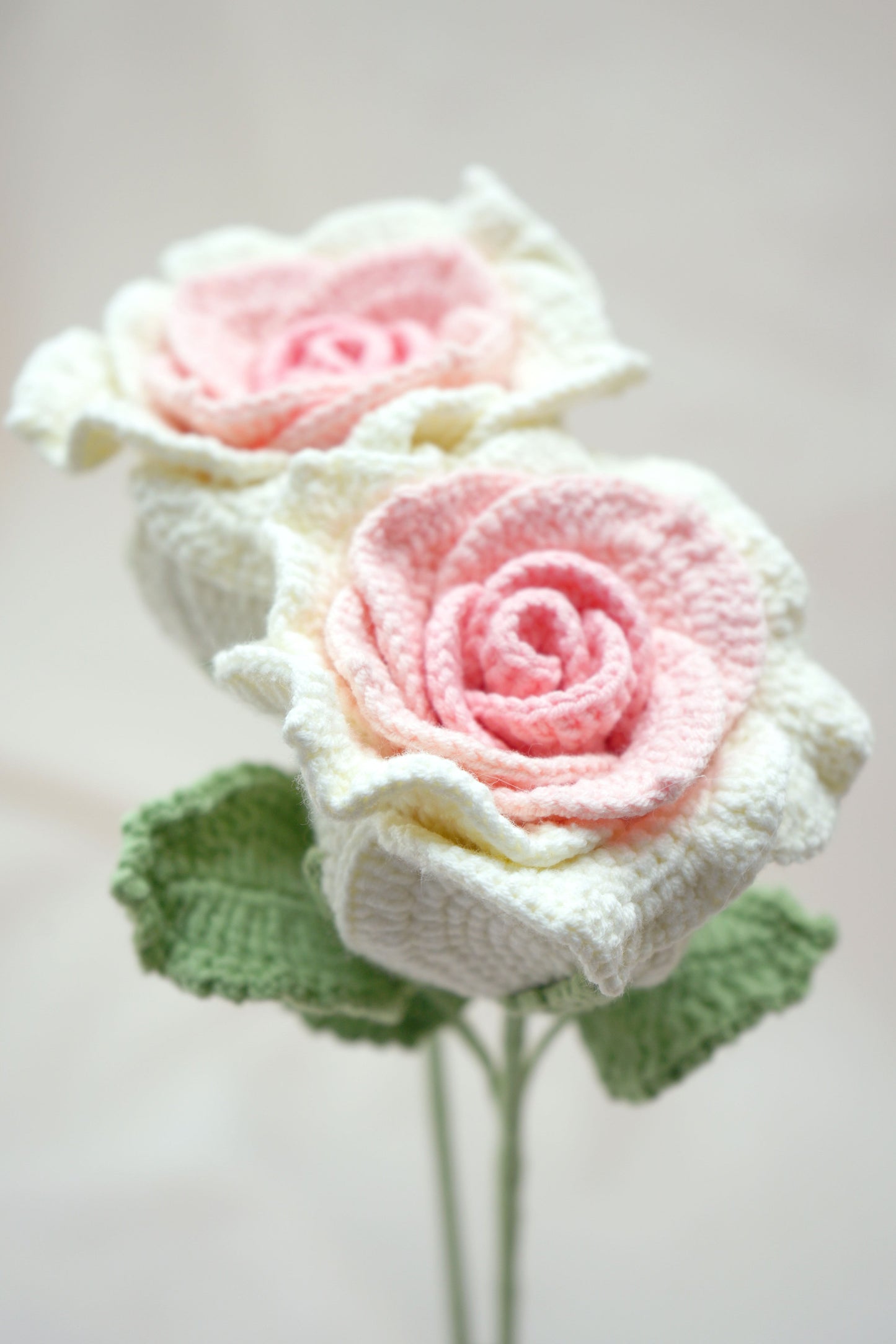 Thai Rose